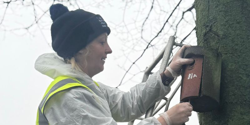 It's nest box cleaning time! article image